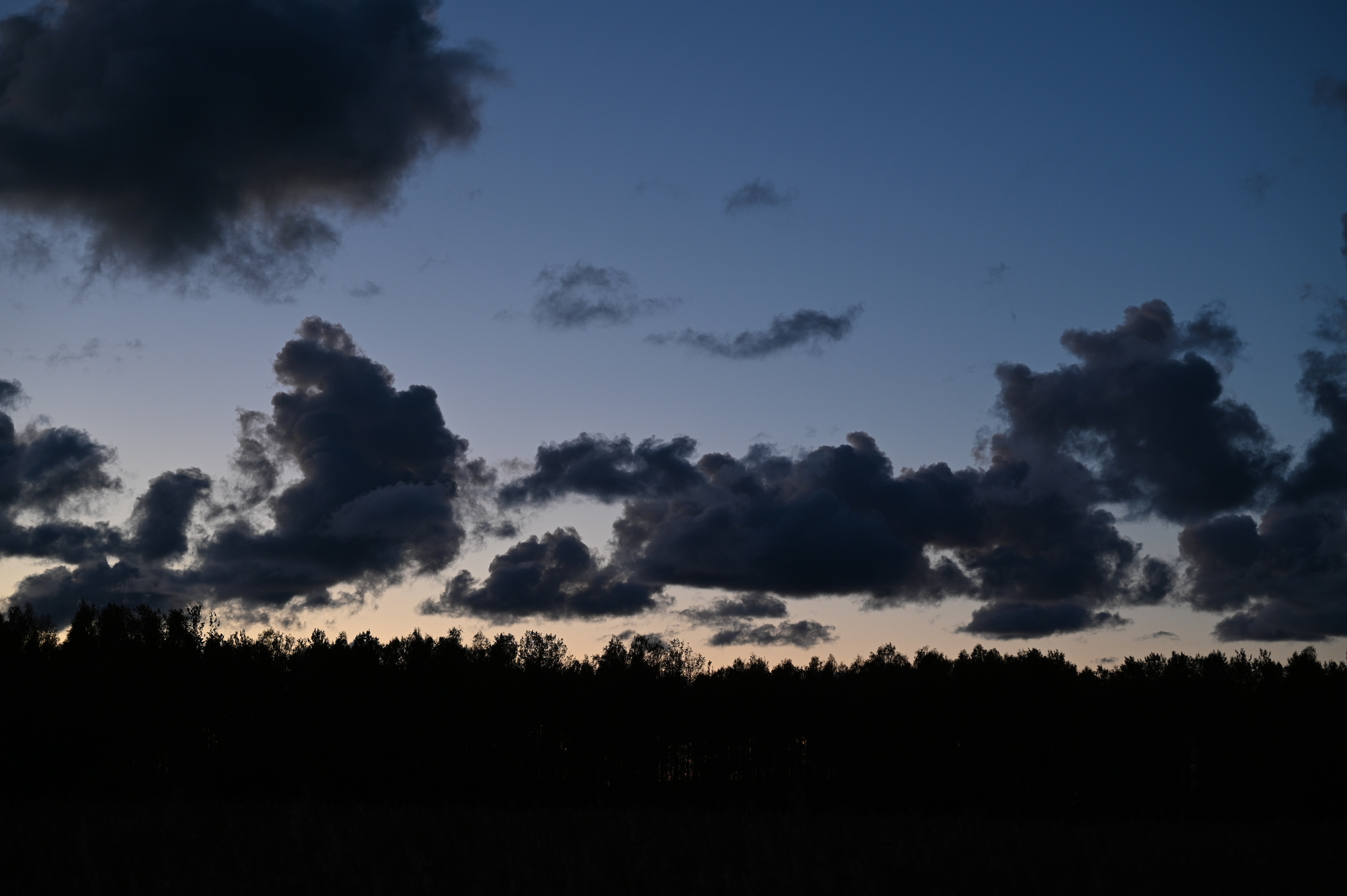 2025/10/18 - walk/DSC_0648.JPG